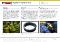  Industry=|Language=English|LanguageId=en|ProductLine=Mechanical Seals|MaterialCategory=|MaterialCode=